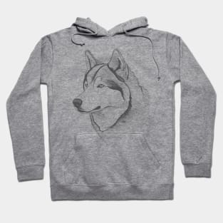 Alaskan Malamute Dog Minimalistic Line drawing in Grey Hoodie